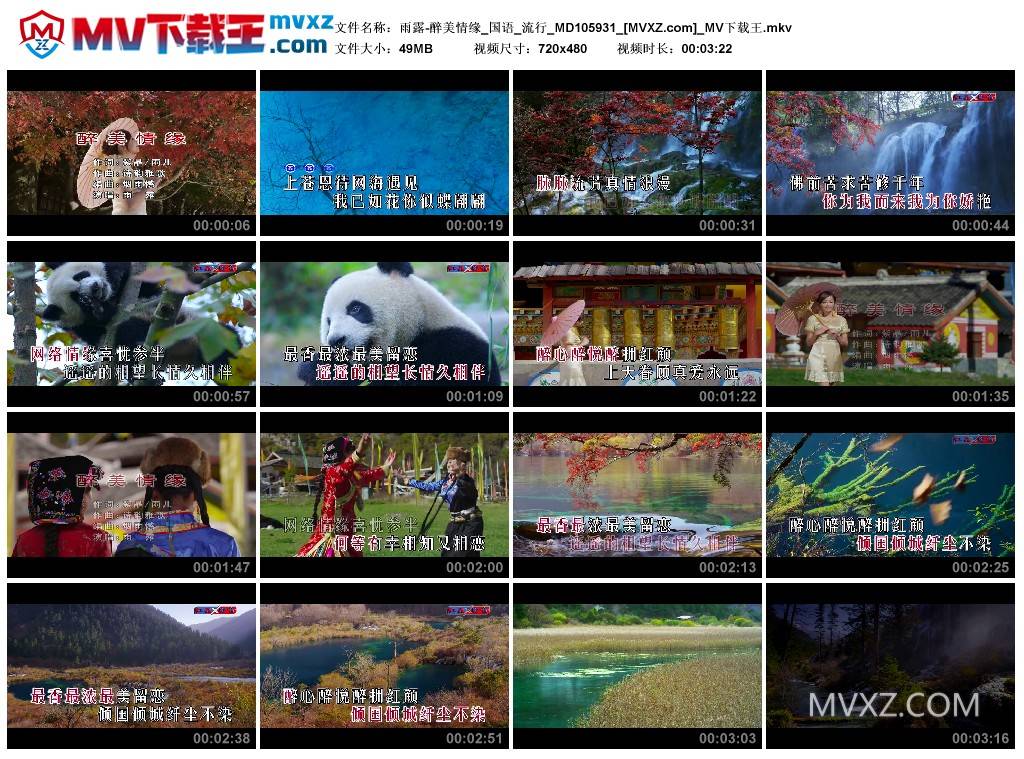 雨露-醉美情缘_国语_流行_MD105931